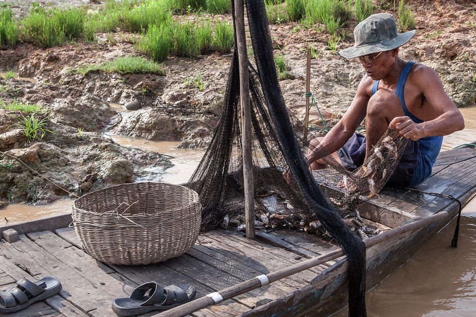 A man uses a fishing net to catch fish