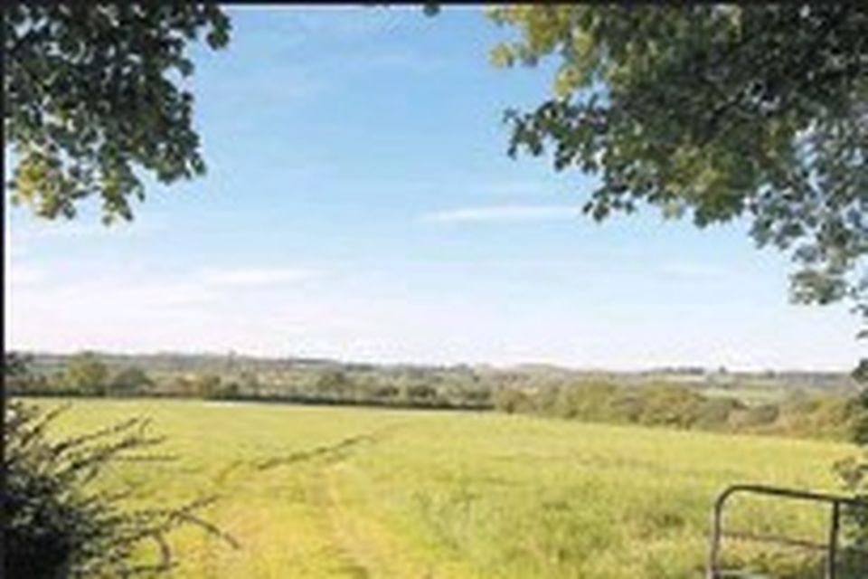 PROPERTY Auction of 103acre Duagh farm in Listowel Irish Independent