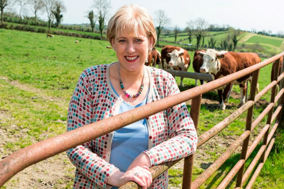The plan will be launched by Minister for Rural Affairs Heather Humphreys, pictured at her family farm in Co Monaghan. Photo: Kyran OBrien