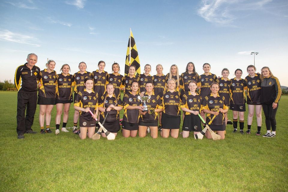 The Avoca Junior B team who defeated Eire Og in the Junior 'B' league final in Ballinakill