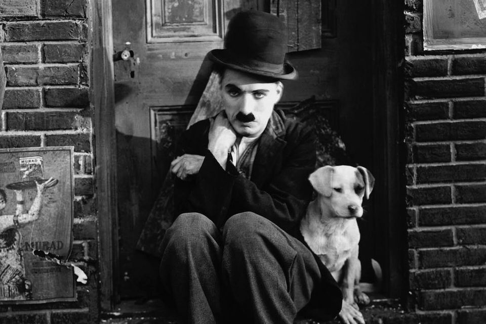 Charlie Chaplin in A Dog's Life, described by one critic as 'cinema’s first total work of art'