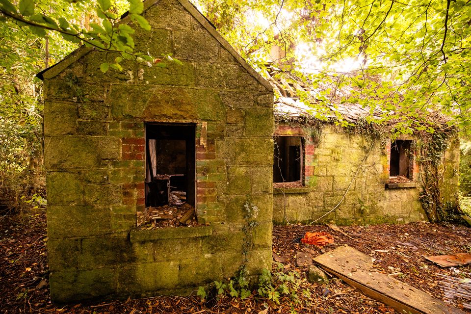 The exterior of the dilapidated property. Photo: Mark Condren