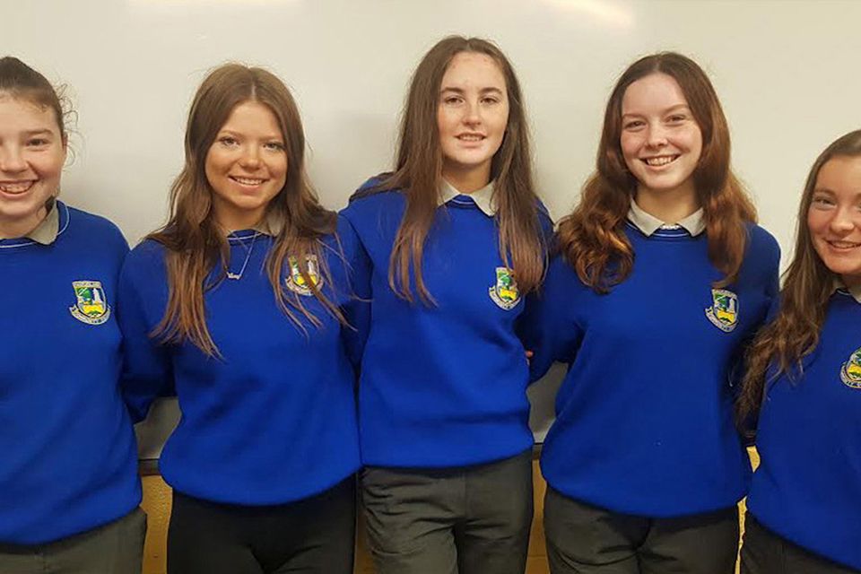 BT Young Scientist of the Year finalists for Castleisland Community ...