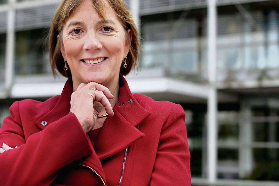 STATE PLAN: Julie Sinnamon, CEO of Enterprise Ireland