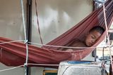 thumbnail: A young boy sleeps in a hammock