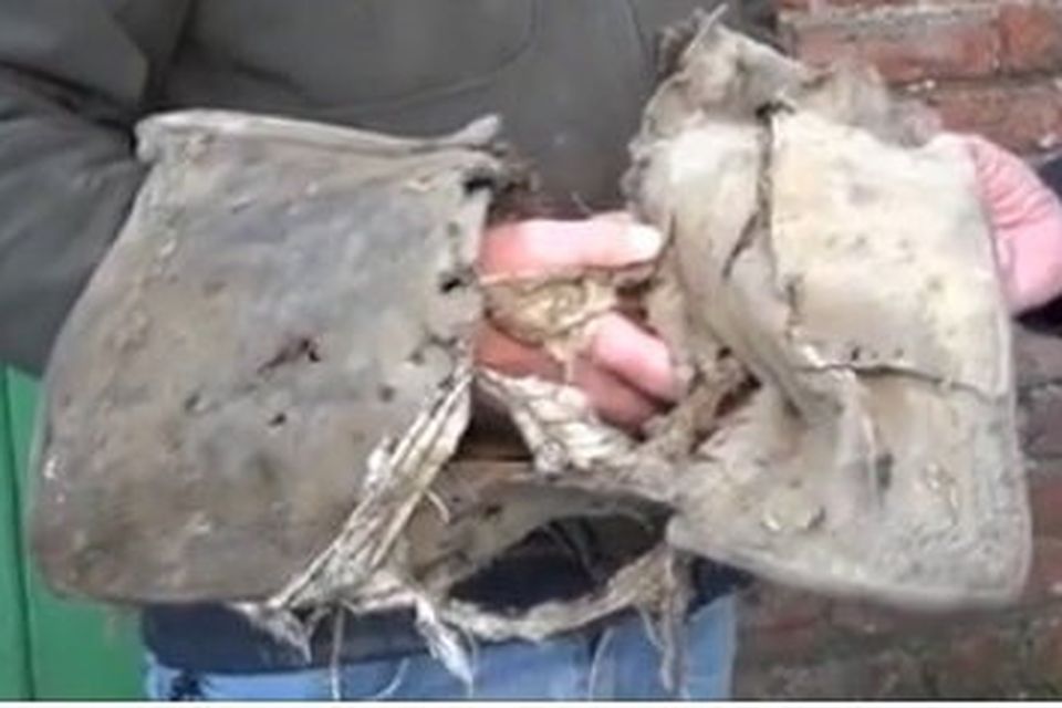 A photo of an actual saddle that was piked on the morning of the Battle of Oulart