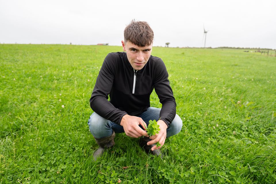 Stephen Frend examines the sward at Newford Farm. Photo: Michael Dillon