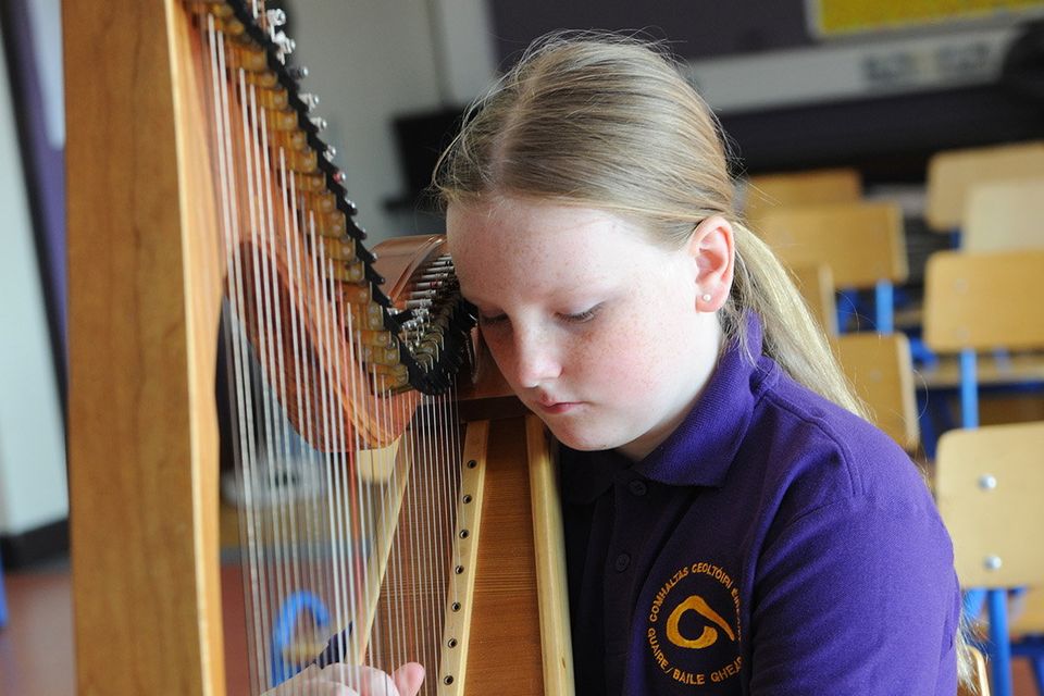 Laoise Fox on harp during the Gorey Ballygarrett CCE Junior Feis in St Joseph's School, Gorey on Sunday. Pic: Jim Campbell