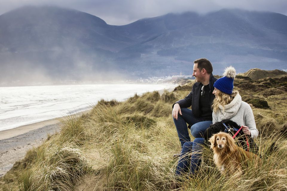 Pet-friendly Ireland: Murlough Bay beach in Co Down
