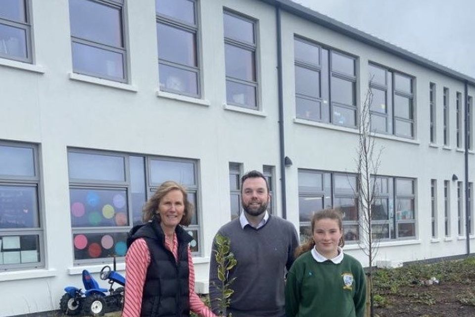 Scoil Naomh Padraig in Kanturk is in festive spirits | Irish Independent