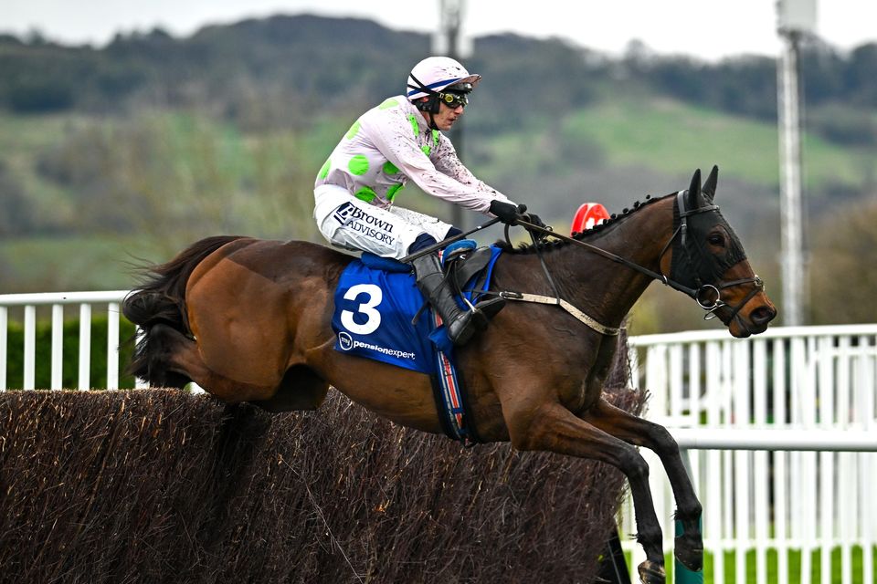 Gaelic Warrior, with Paul Townend, jump the last on their way to winning the My Pension Expert Arkle Challenge Trophy Novices' Chase on day one of the Cheltenham Racing Festival at Prestbury Park. Photo: Harry Murphy/Sportsfile