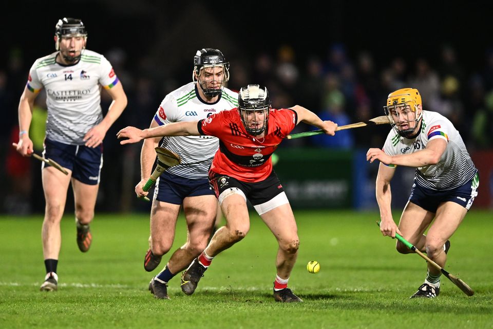 UL march into Fitzgibbon Cup semi-final after impressive win over UCC ...