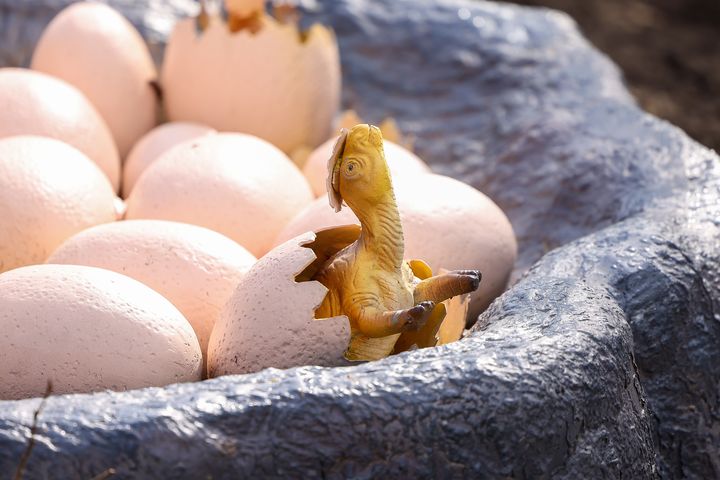 Dinosaurs may have fed young?a special diet to help them grow, new study finds