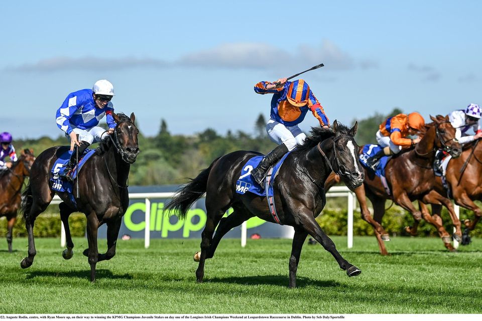 Auguste Rodin, with Ryan Moore up, on their way to winning the KPMG Champions Juvenile Stakes on day one of the Longines Irish Champions Weekend at Leopardstown last September. Photo: Seb Daly/Sportsfile