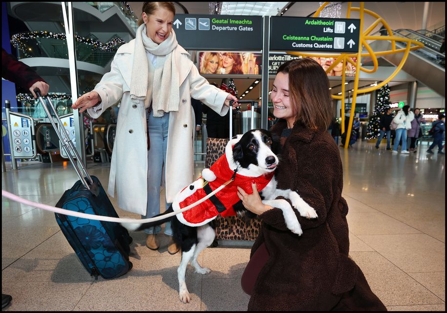 ‘He doesn’t know we’re here, he thinks he’s getting a bus home to Kerry’ – tears of joy for Christmas homecomings at Dublin Airport