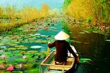 thumbnail: Rural Vietnam is blessed with lush jungle greenery and lotus flowers