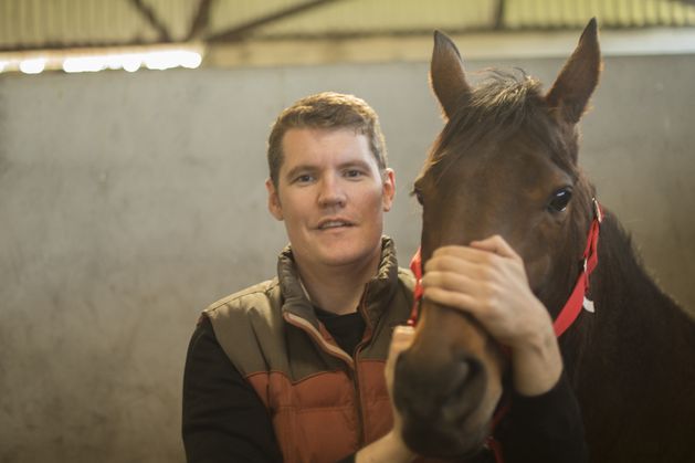 Buyers from around the world are impressed by the quality and breadth of Ireland’s equine industry