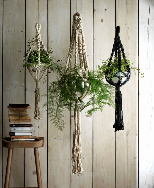 Macrame plant hangers from Graham and Greene.