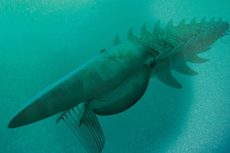 An artist's impression of a filter-feeding 'lobster' as big as a human which took the place of whales 480 million years ago