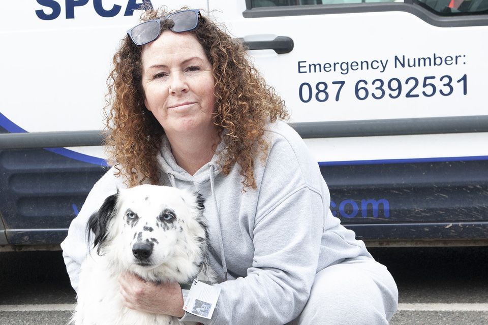 Linda Walsh and Blinkey pictured at the start of the annual NWSPCA Charity Dog Walk outside Maxi Zoo on Sunday. Pic: Jim Campbell