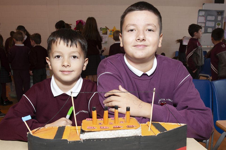 David and Marius Minescu with their project 