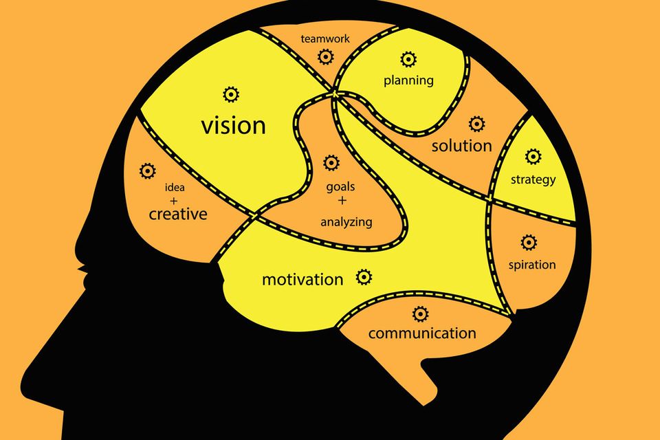 How your brain picks the best move