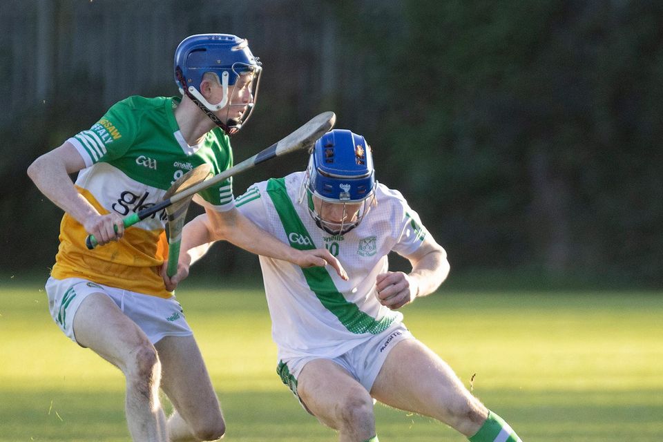 St. Peter’s crash out as Offaly Schools storm to victory in fractious ...