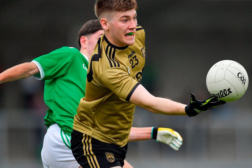 Kerry under-20s cruise into Munster final with victory over