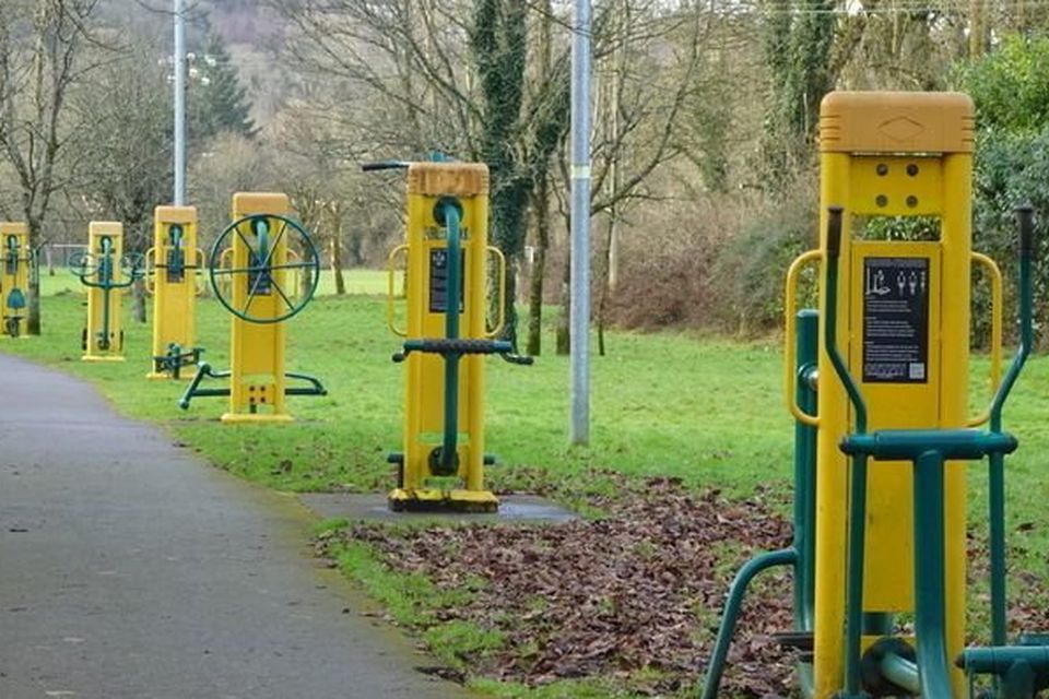 Outdoor gym equipment like this could soon be available for use in the Glen.