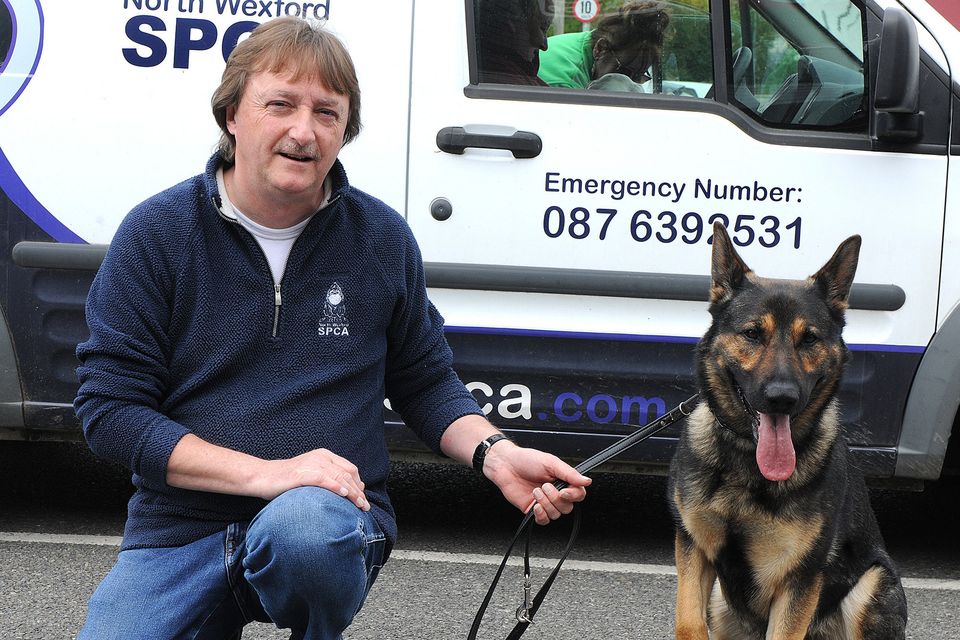 Joe Murray and Dil at the start of the annual NWSPCA Charity Dog Walk outside Maxi Zoo on Sunday. Pic: Jim Campbell