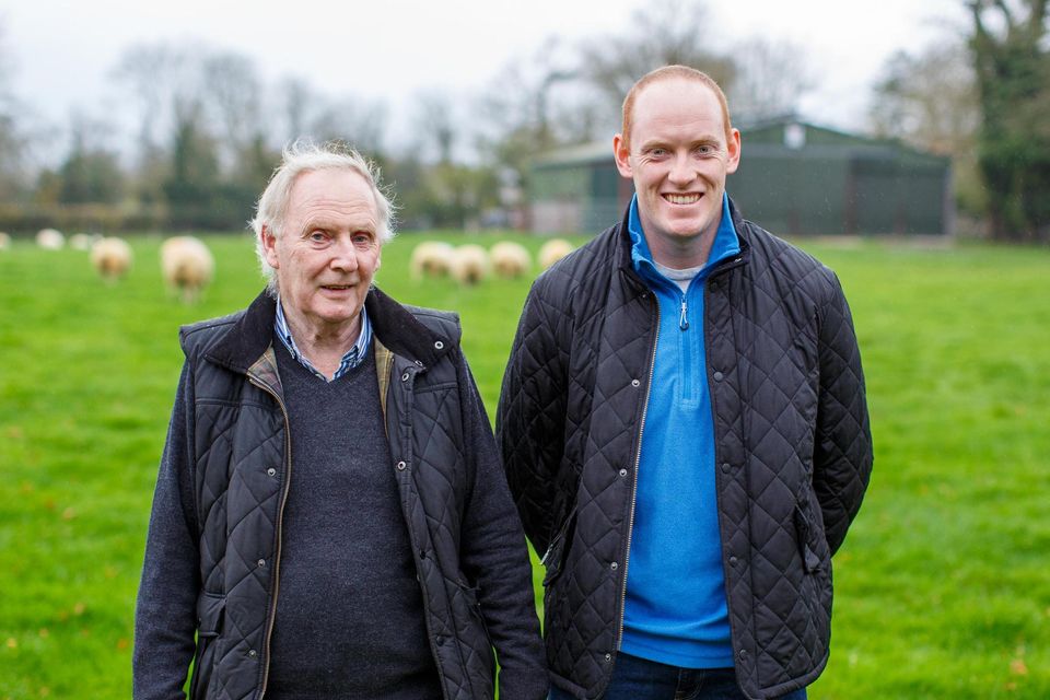 Why these father-and-son pedigree Belclare breeders from Offaly swear ...