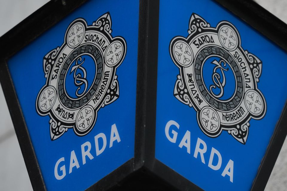 Gardaí have launched an appeal for information. Photo: Artur Widak