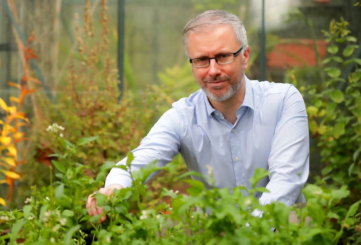 Roderic O’Gorman: By paying fuel protesters’ ‘ransom’ on carbon tax, the Government has set a dangerous precedent