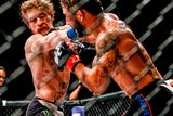 thumbnail: Conor McGregor in action against Chad Mendes during their Interim UFC Featherweight Championship Title bout at UFC 189. MGM Grand Garden Arena, Las Vegas. Photo: Esther Lin / Sportsfile