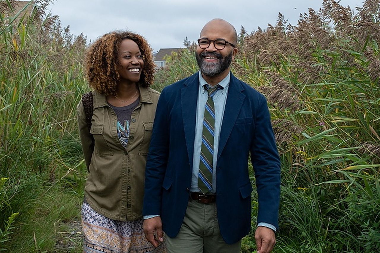 American Fiction review: Jeffrey Wright is marvellous in tart comic drama  that pokes fun at white stereotypes of blackness | Irish Independent