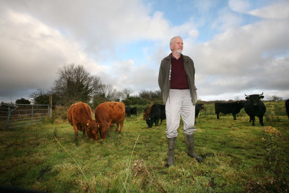 Oliver Davey on his farm near Tubbercurry where he breeds and rears organic Dexter cattle. Photo: Brian Farrell