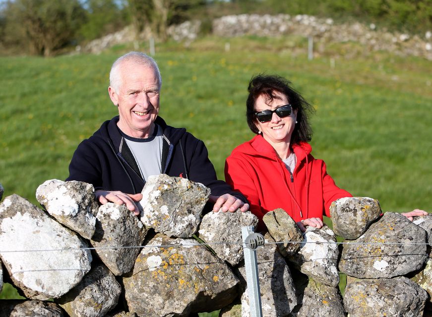 Billy and his Anne at a drystone wall