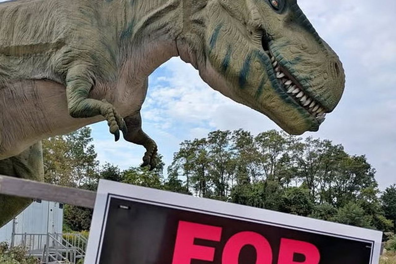 Dino-Score – you can now buy giant animatronic dinosaur for just $700 |  Irish Independent