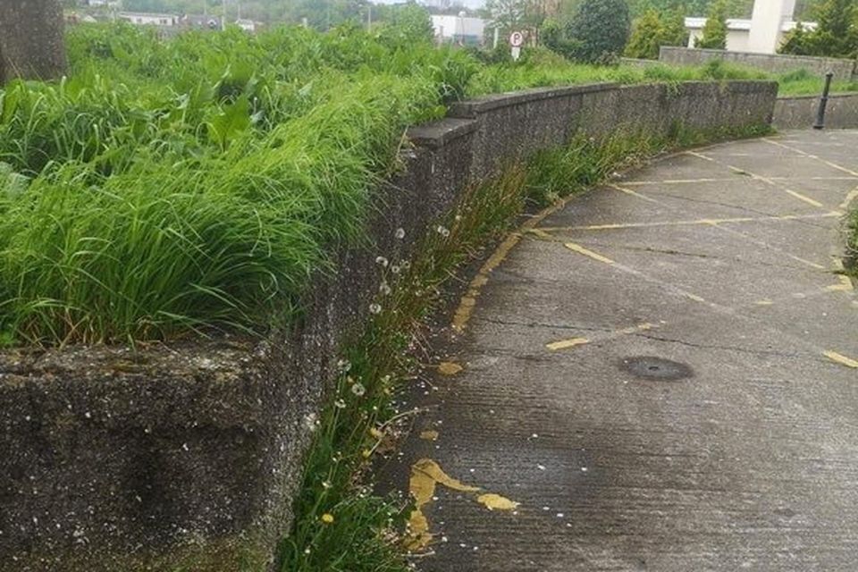 Residents of many estates in Drogheda have complained to Cllr Callan about the quality of council grass cutting, or none at all.
