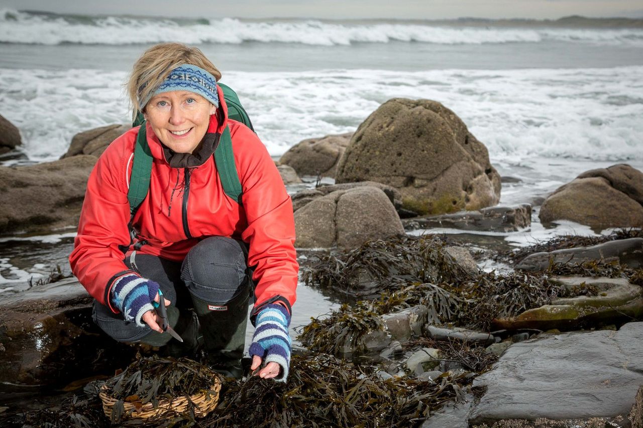 Passion for 'powerhouse' seaweed pays off with food Oscar | Irish