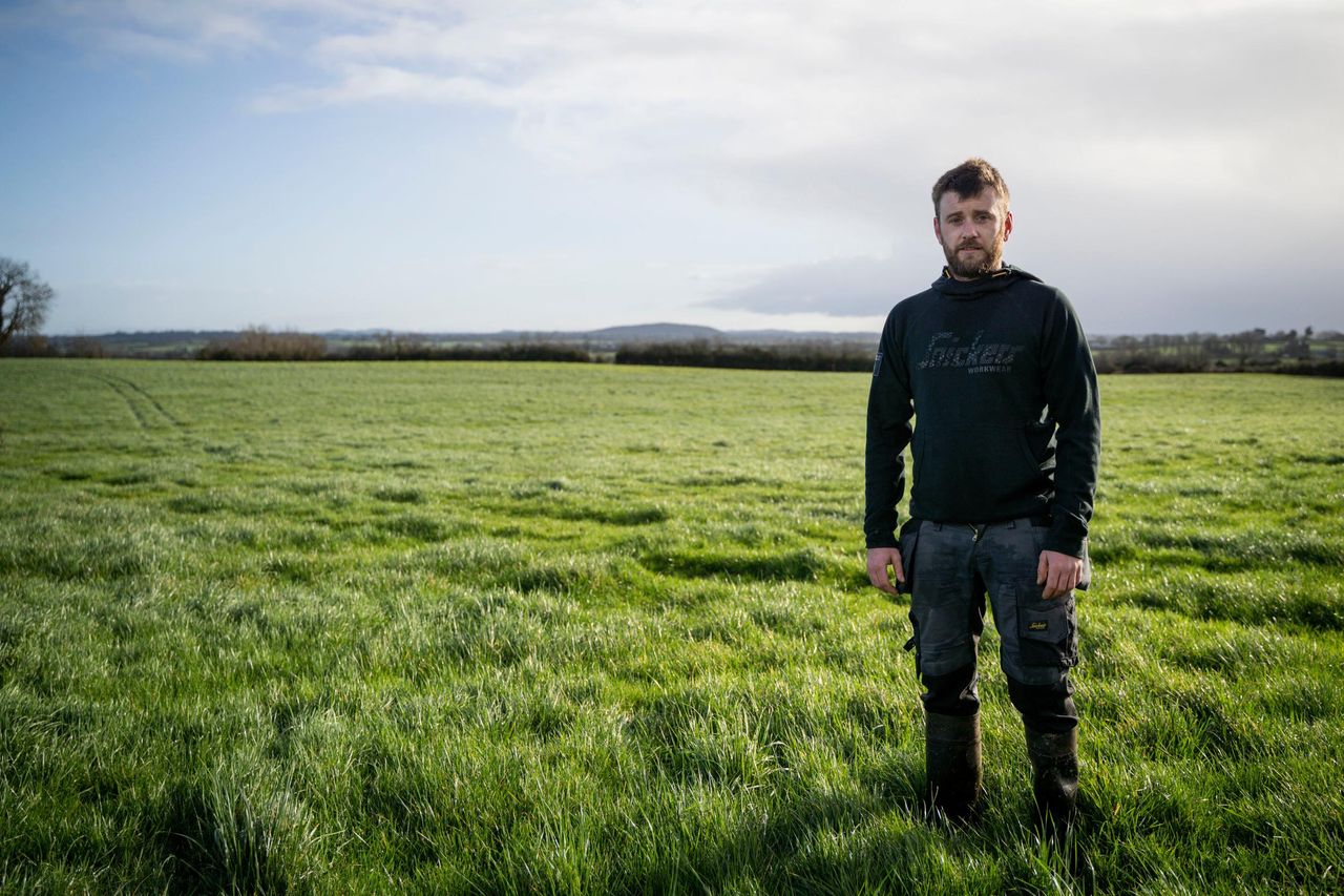 Farmers tap into AI thanks to €2m deal between Dairymaster, Lero and IT  Tralee - Engineers Ireland