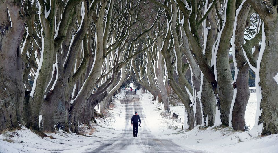 A man walks along the Dark Hedges. Photo by Charles McQuillan/Getty Images)