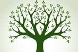 thumbnail: A tree is used to visually represent the core aspects of the functional medicine paradigm and highlight the difference between conventional medical care and functional medicine