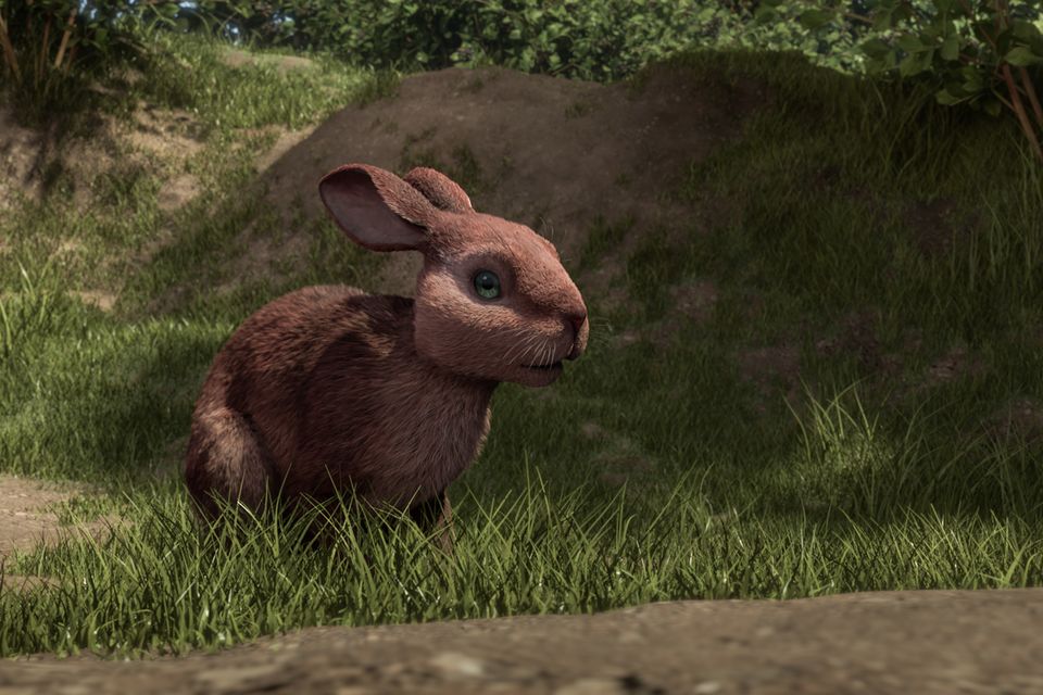 Viewers were left unimpressed by the animation in the BBC’s adaption of Watership Down, with many comparing it to a bad video game (BBC/PA)