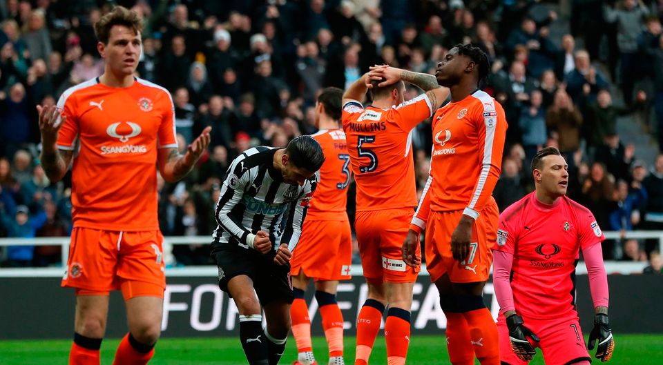 Ayoze Perez of Newcastle United celebrates after scoring the opening goal    Photo: Getty