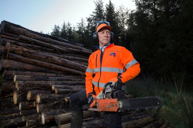 Tree-planting plan a ‘failure’ as Irish forests release more carbon than they capture