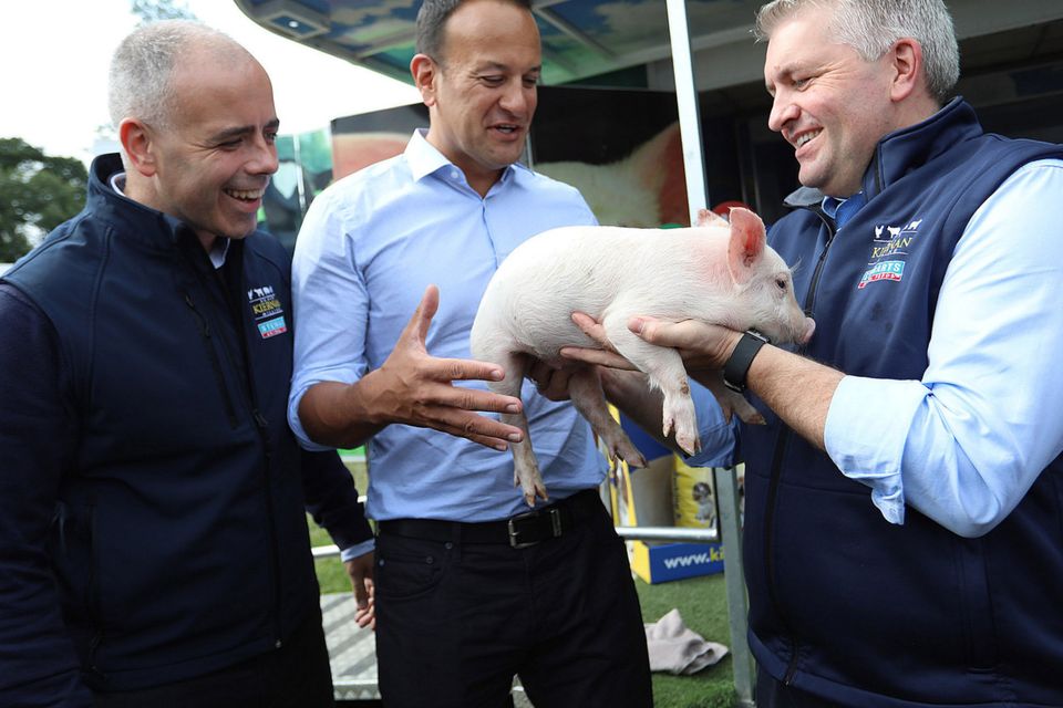 An Taoiseach Leo Varadkar comes face to face with this little piggy as he chats  at the Virginia Agricultural Show on Wednesday afternoon.  Photo: Lorraine Teevan