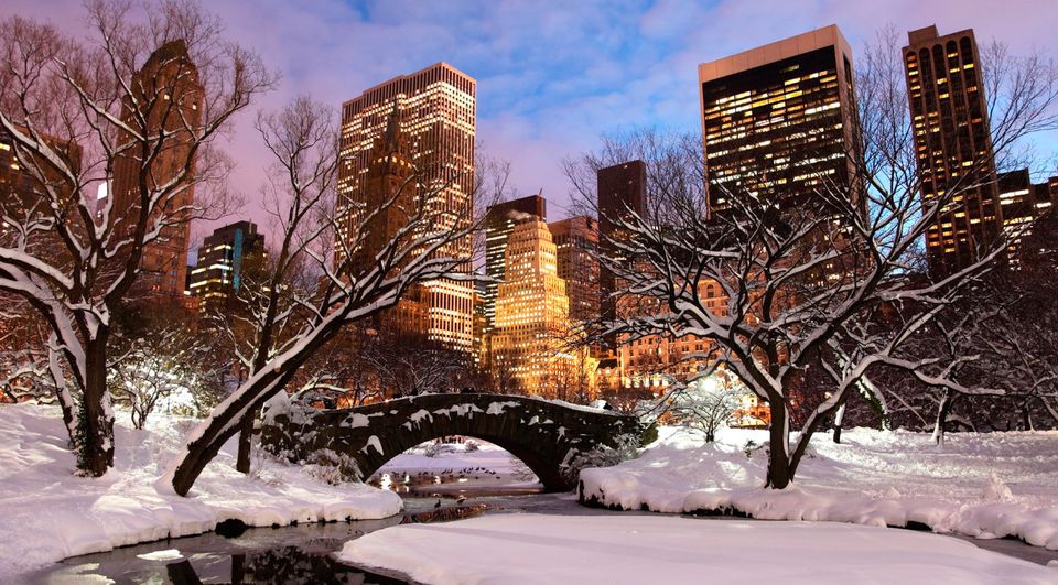 Winter in Central Park, New York City. Photo: Getty