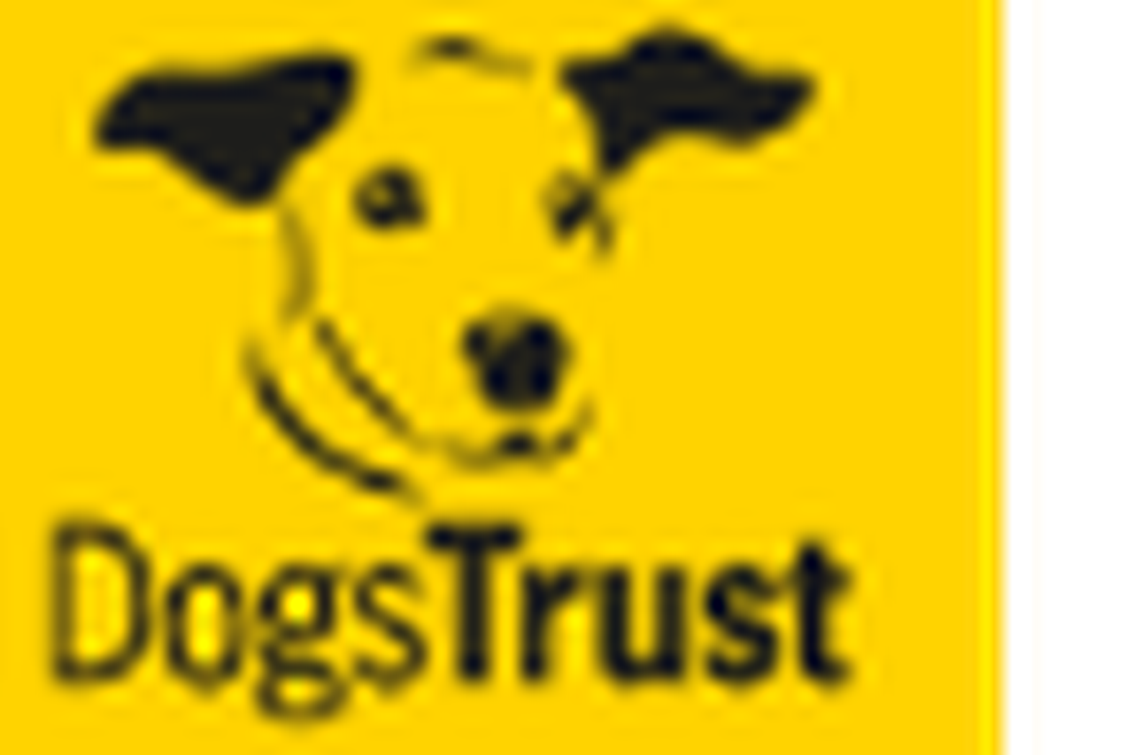 The dogs hot sale trust ireland