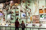 thumbnail: The American Museum of Natural History in the Upper West Side, Manhattan